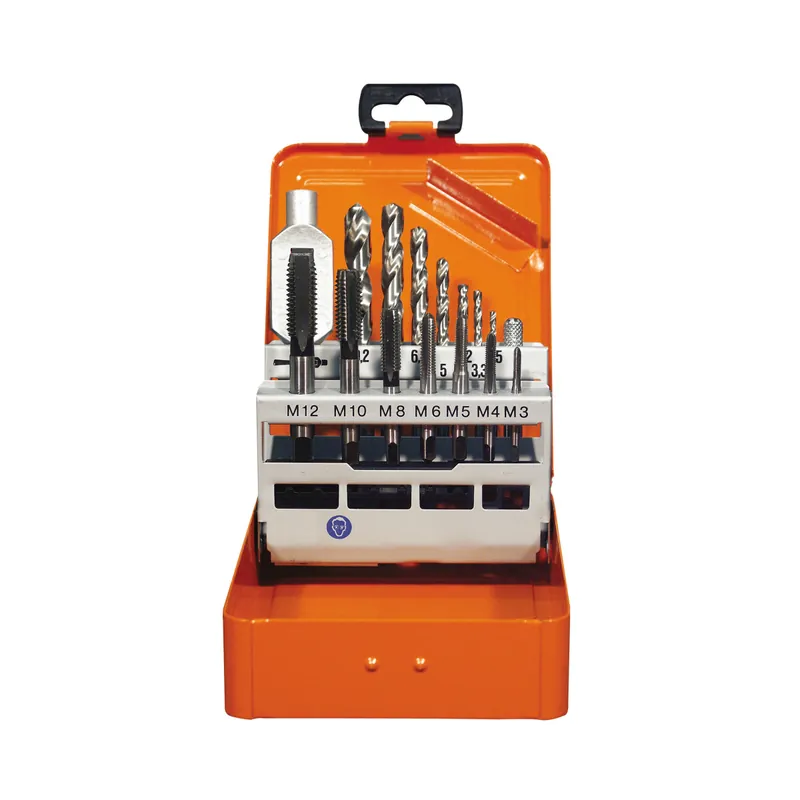 PROJAHN Einschnitt-Gewindebohrer Set 15-tlg. M3 - M12 für Maschinen- und Handgebrauch Neu