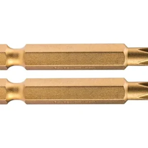 FORTUM Kreuzschlitz-Bit, 2er-Set, PH 1 x 50 mm, Titan-Finish, S2 4741281 Schnäppchen