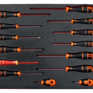 Jetzt Kaufen Assortimento cacciavite per vite intaglio semplice, Phillips, Pozidriv, TORX 14 pezzi Bahco FF1F1009