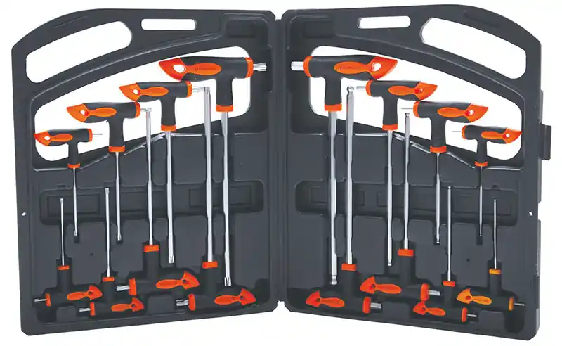 SET 16 PEZZI, CHIAVI MASCHIO ESAGONALI E TORX CON IMPUGNATURA BGS90 Saisonangebot