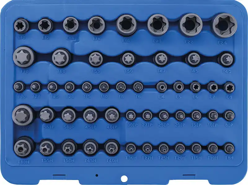 Neuheit SET 52 PEZZI, BUSSOLE E INSERTI TORX, TORX CON FORO E TORX-PLUS BGS9839