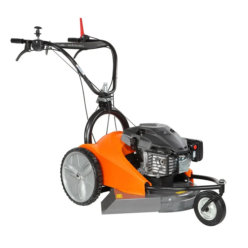 Sale Trinciaerba professionali Efco DEB 5158