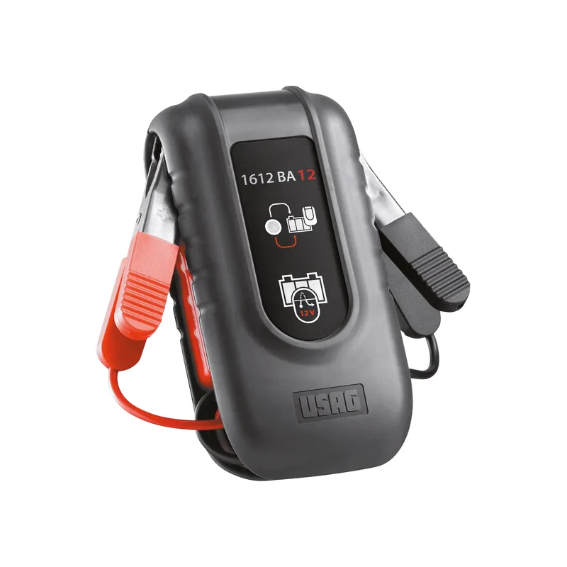 Online Kaufen PROTEGGI CENTRALINE 12 V Usag 1612 BA12