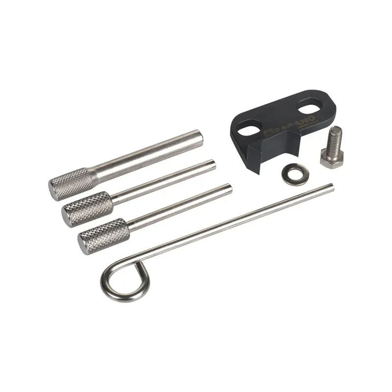 SET FASATURA MOTORI BMW MINI 1.6 W16D Fasano FG 192/MI9 Sofort Bestellen