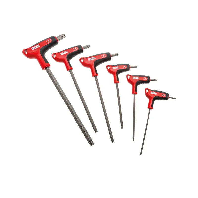 SERIE DI 6 CHIAVI MASCHIO CON PROFILO ESAGONALE SPECIALE X-GRIP Usag 280 HX/SE6 Knallerangebot