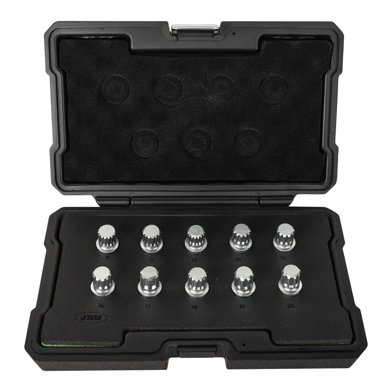 SET DI 10 CHIAVI A PUNTA PER BULLONI DI BLOCCO RUOTA PER BMW 54816 JBM Wochenendangebot