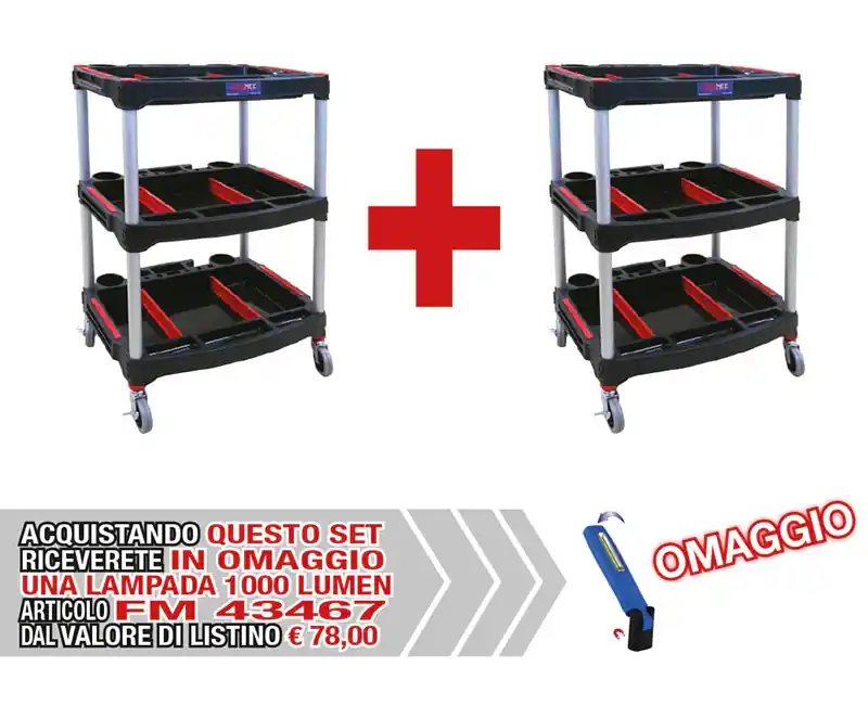 Ausverkauf Carrellini multifuzione 2 PEZZI 343 + OMAGGIO 1 PEZZO FM43467