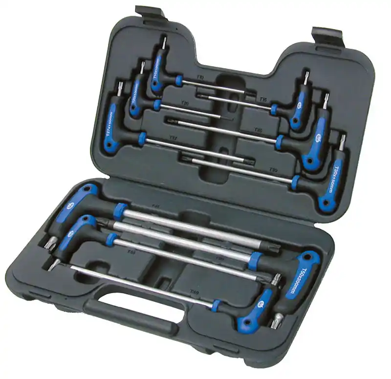 SERIE 10 CHIAVI TORX® PIEGATE IN VALIGIA FERMEC 8606 Sonderangebot