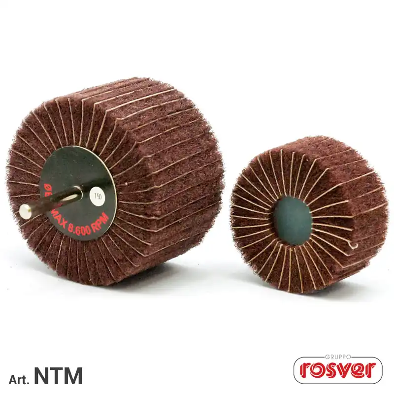 Mixed abrasive wheels with shank - Rosver - NTM D.50x30x6 - Conf.10pz Finale Aktion
