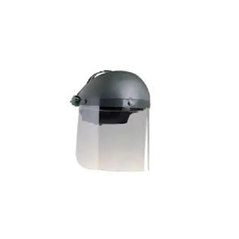 Shield for visor *perfo-b* - 1pcs Ausverkauf