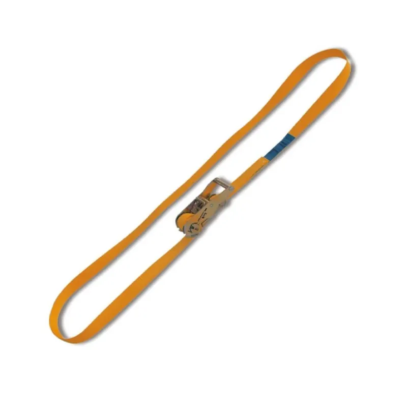 Ring anchor system with ratchet tensioner LC1500kg - Beta 8185 Neu