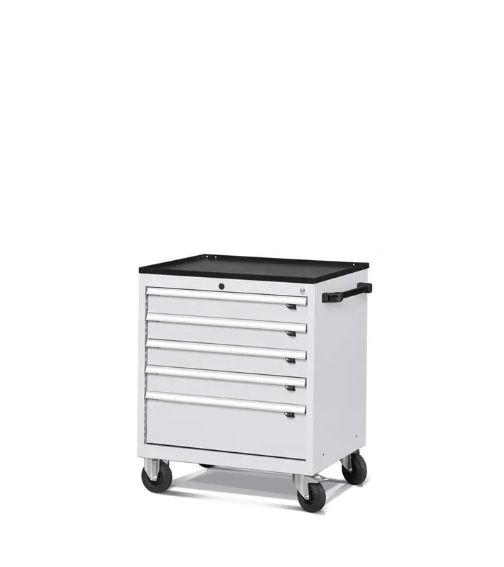 Highlight CABINET WITH 5 DRAWERS FOR WORKSHOP WITH WHEELS 794 X 600 X 852 H - TOTAL EXTRACTION - FAMI - GREY