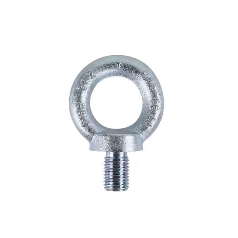Nur Heute Eyebolt for lifting male, galvanized DIN.580 8 MA ZN Beta