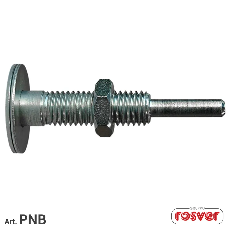 Wochenendangebot BKD-PKD Fixing Pin - Rosver - PNB 6mm per BKD/BBF - Conf.1pz