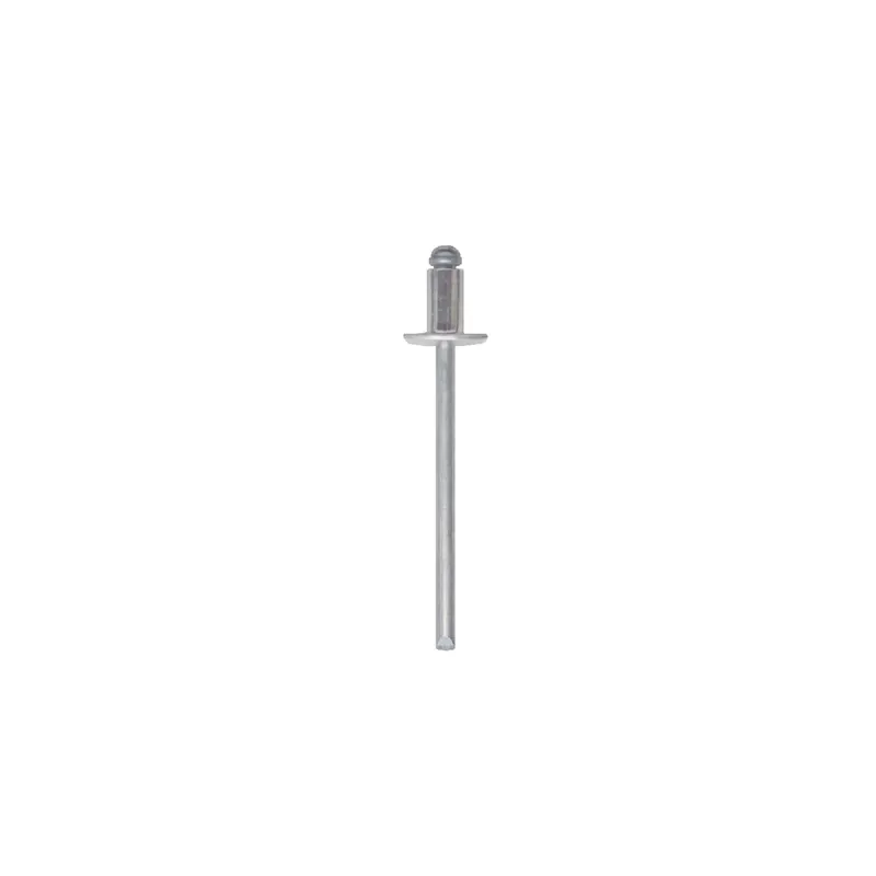 Sonderaktion Rivet Inox A2 eBL-FM Rivex 100pcs/bl pack.10pcs - Friulsider
