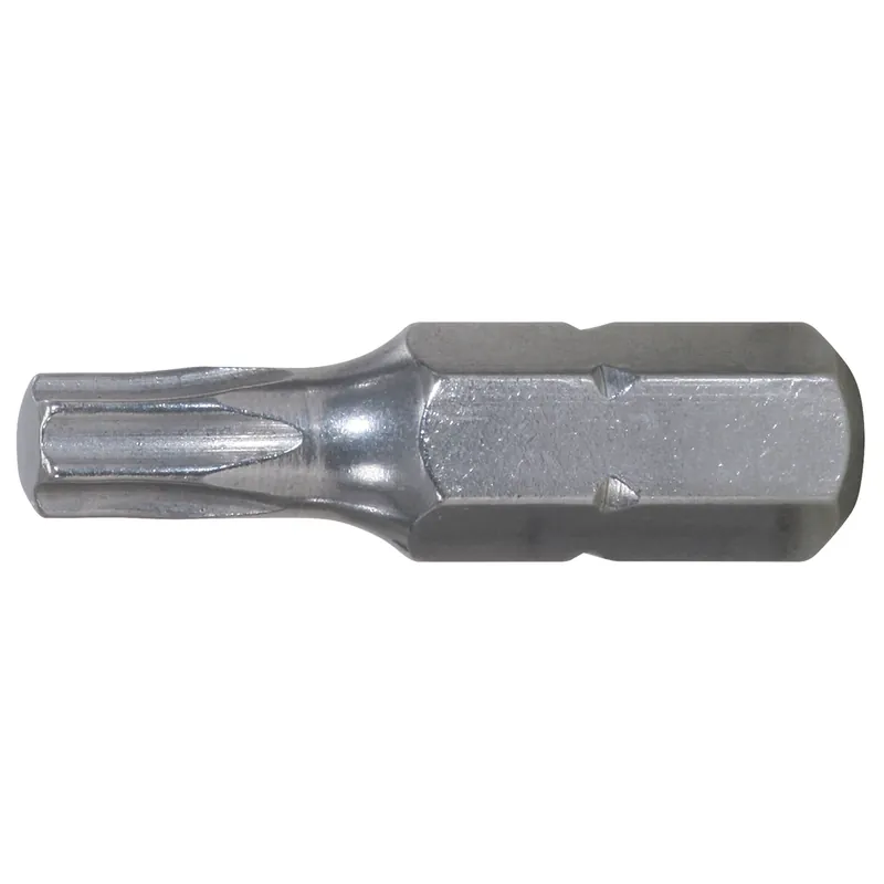 EDELSTAHL Bit für Torx-Schrauben Highlight