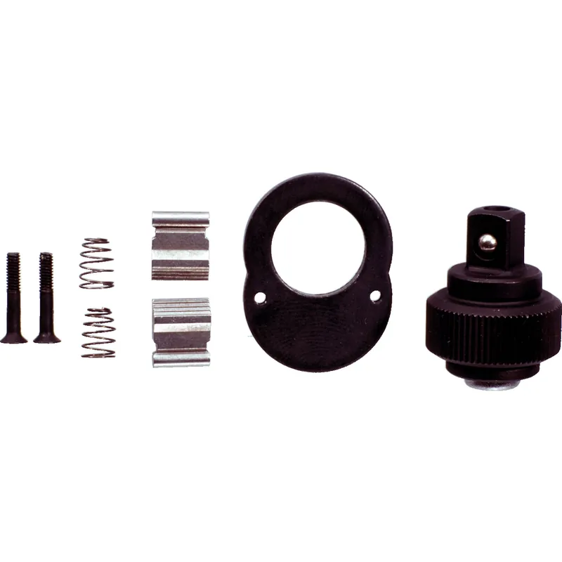 Saisonangebot 1/4" Reparatur-Satz für 72-Zahn-Umschaltknarre