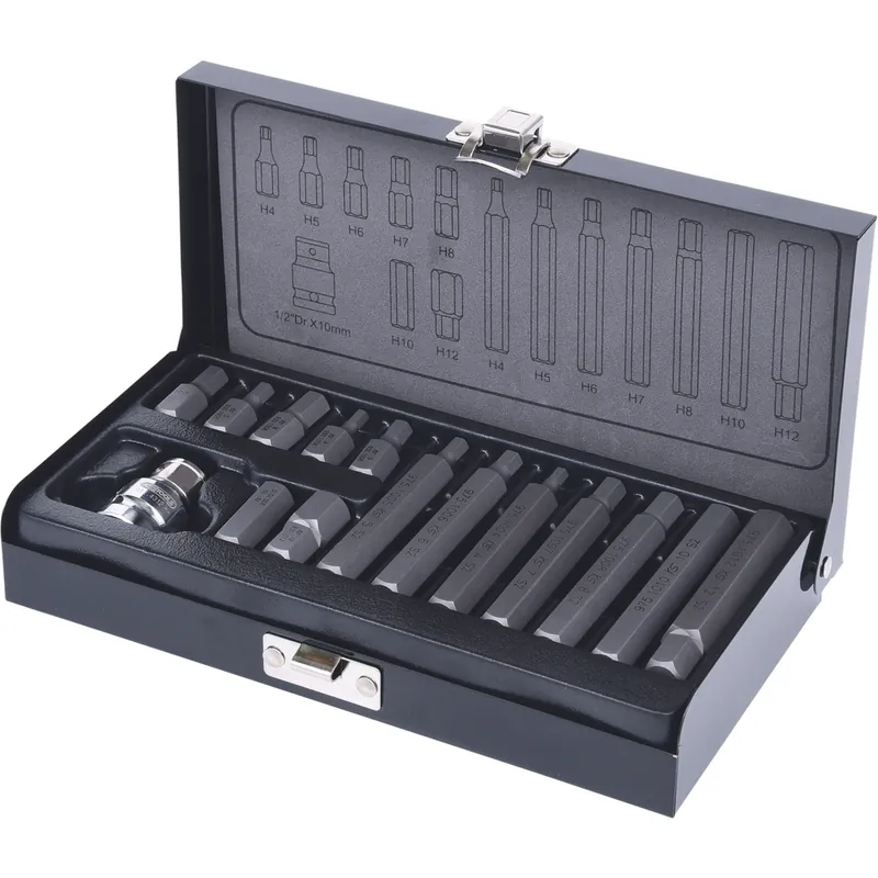 Zertifiziert 10mm Bit-Satz, 15-tlg, Innensechskant