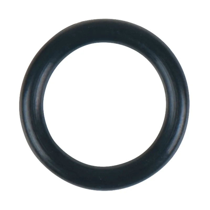 Aktuell O-Ring