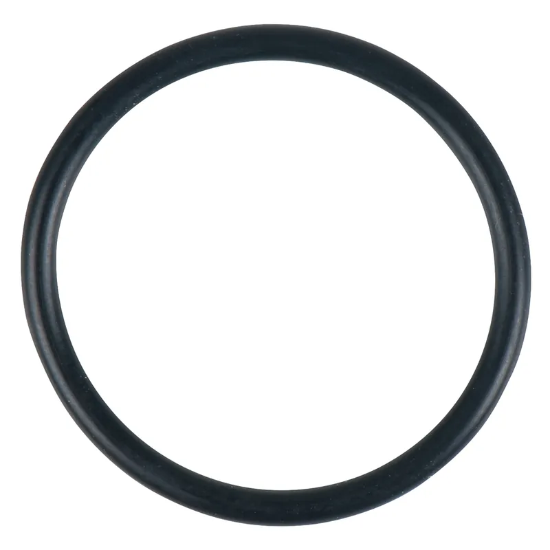 Sofort Bestellen O-Ring