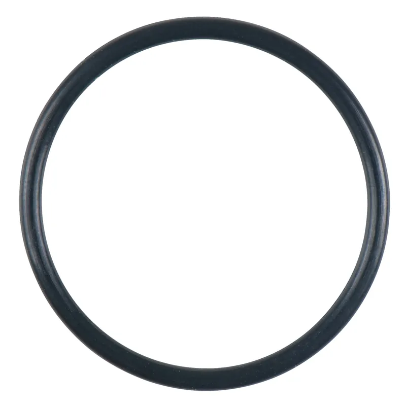 Aktuell O-Ring