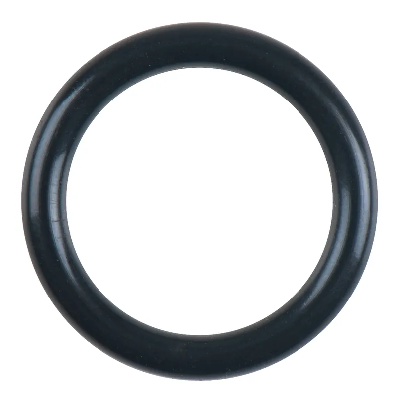 Sofort Bestellen O-Ring