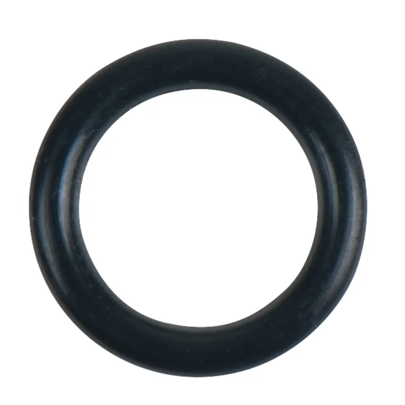 Expressversand O-Ring
