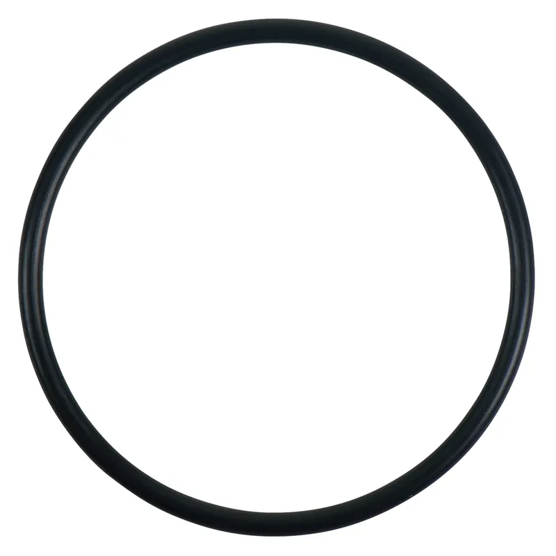 O-Ring Sichere Zahlung