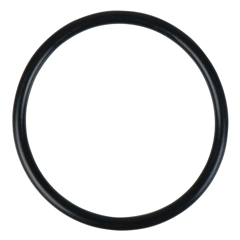 O-Ring Beliebt